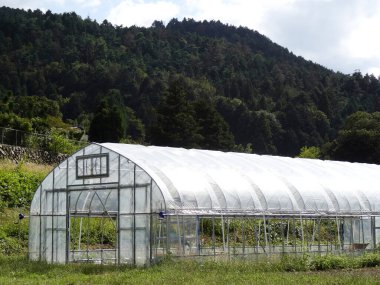 Sera yemyeşil manzarayla çevrili.