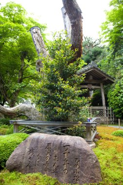 Japonya 'daki Japon mimarisine bakış