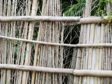 Bambu çubukları dikey olarak düzenlenmiş desenli arkaplan oluşturur