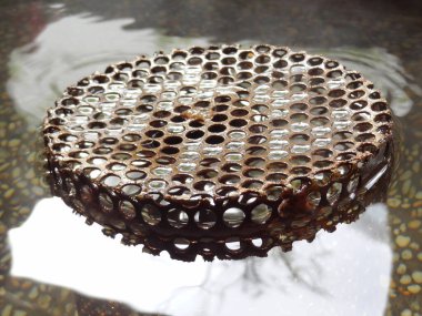 Suda yüzen dairesel metal ızgara.