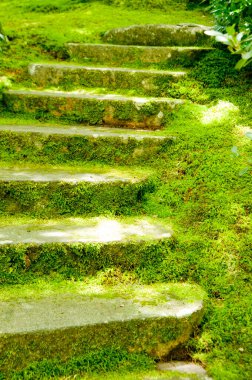 Parkta yeşil yosunlu taş merdivenler 