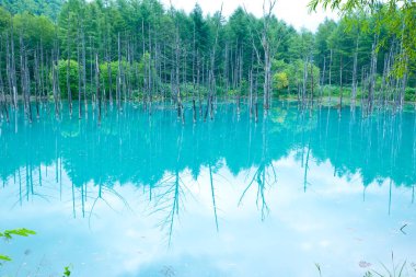 Mavi suyla gölün güzel manzarası 