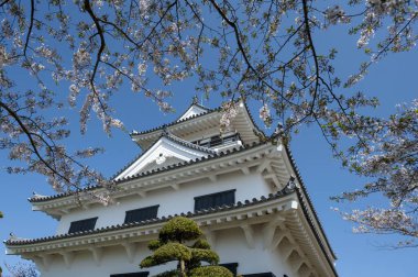 Japonya 'daki ünlü Osaka şatosu kulesinin manzaralı görüntüsü.