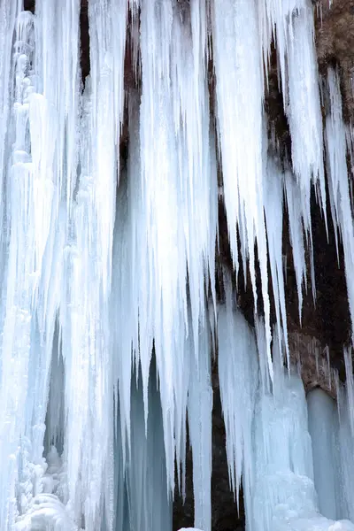森の中の凍った滝 — ストック写真