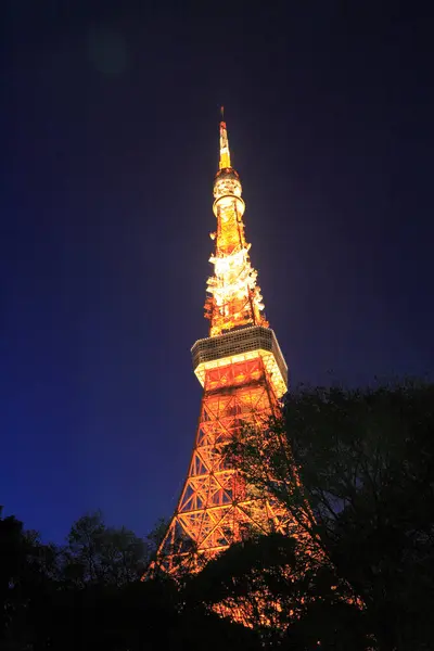 Torre Tokyo Noite Japão — Fotografia de Stock