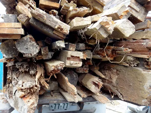 Hromádky Naskládaného Dřeva Lese — Stock fotografie
