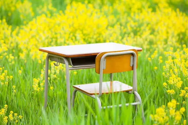 Schultisch Mit Gelben Blumen Auf Der Wiese — Stockfoto