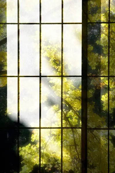 Podzimní Zelené Stromy Okně Průsvitným Sklem — Stock fotografie