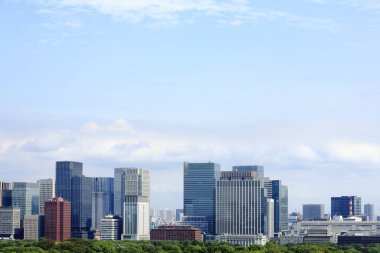 Tokyo şehir manzarası yukarıdan görünüyor. Japonya