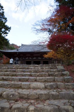 Turistler sonbahar mevsiminde geleneksel Japon bahçesini ziyaret ediyorlar