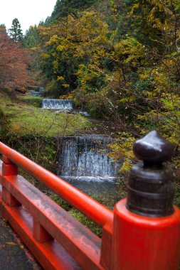 Sonbahar ormanındaki güzel şelale manzarası