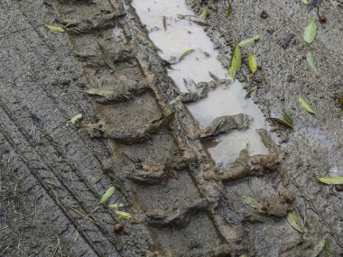 Yakından bakınca çamurlu lastik izleri ve dağınık yeşil yapraklar görünüyor.