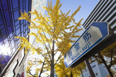 Güzel şehir arkaplanı, şehir mimarisi manzarası 