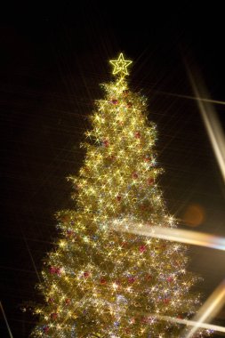 Noel ağacı arka plan      