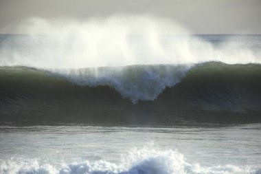 Sahilde güzel deniz dalgaları       