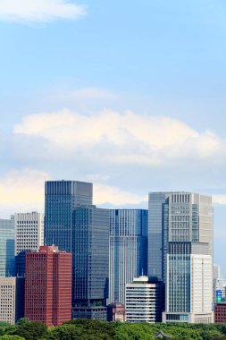 Tokyo şehir manzarası yukarıdan görünüyor. Japonya