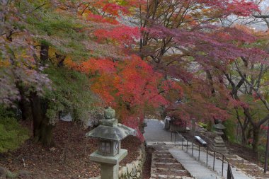Şehir parkında güzel bir sonbahar 