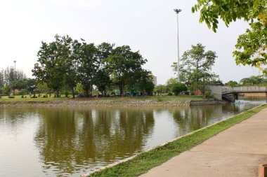 Güzel sakin göl Köprü ve ağaçlar parkta