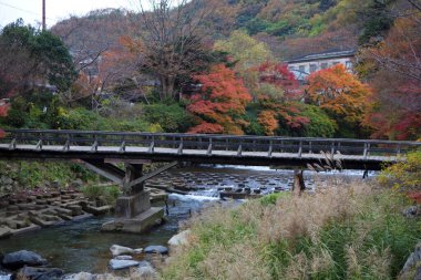 Sonbahar ağaçlarının güzel manzarası ve dağlardaki nehrin üzerindeki köprü