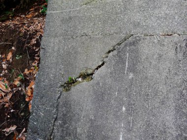 Çatlak beton duvar, yakın görüş