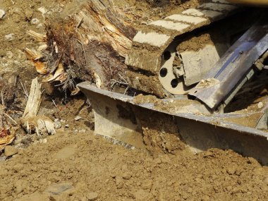 Buldozer bıçağı, kiri ağaçların köklerine doğru iter.