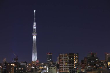 Arka planda Tokyo Gökyüzü ağacı