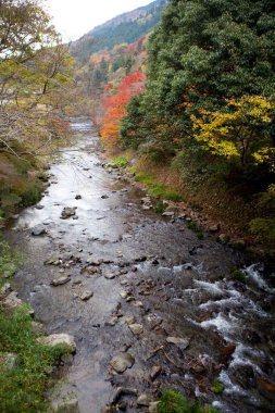 beautiful autumn landscape with a river and trees 