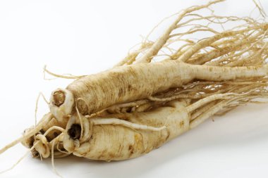 Beyaz arka planda izole ginseng kökleri, Japon geleneksel tıbbı