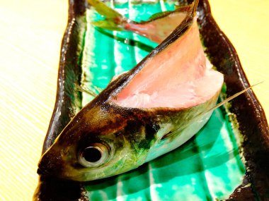 Yeşil seramik tabakta sergilenen taze balık kafası