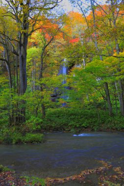 Sonbahar şelalesi ve orman