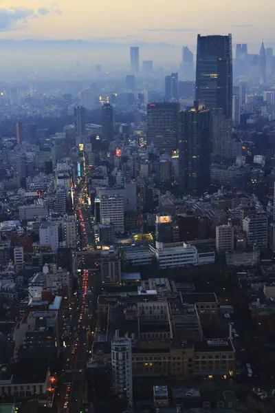 Tokyo cityscape view from above in Japan at night