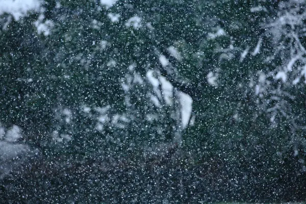 Schneefall Park Winterlicher Hintergrund — Stockfoto