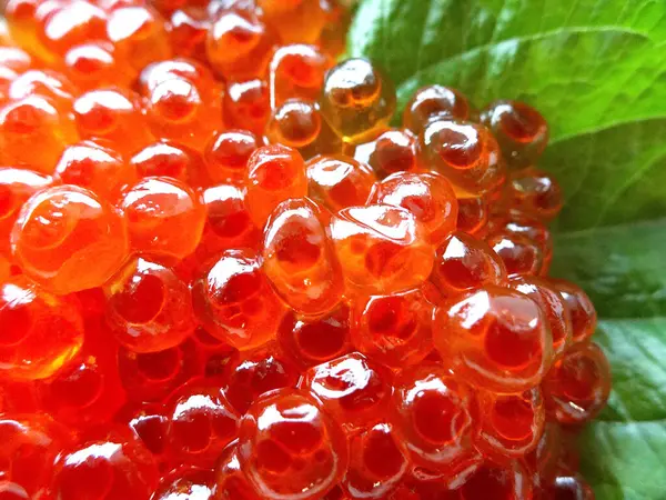 Roter Kaviar Glas — Stockfoto