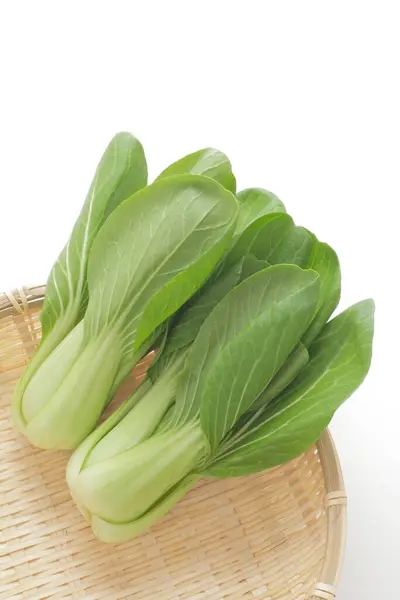 鲜绿色大白菜 背景为白色 — 图库照片