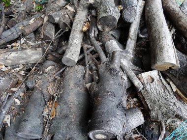 Arka plandaki eski ahşap kütükler, kapatın.