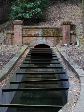 Su yüzeyindeki ağaçları yansıtan eski tuğla tünel girişi.