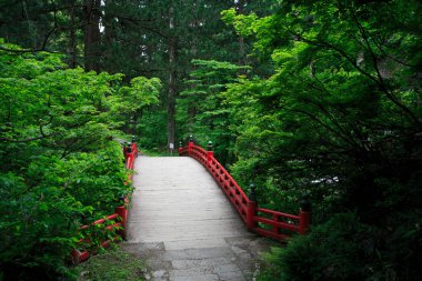 Köprüsü ve yeşil ağaçları olan güzel Japon bahçesi.