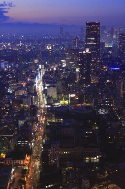 Tokyo şehir manzarası geceleyin Japonya 'nın yukarısından