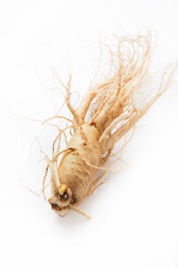 Beyaz arka planda izole edilmiş ginseng kökü, Japon geleneksel tıbbı