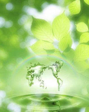 Su damlası ve güneşe sahip yeşil çevre