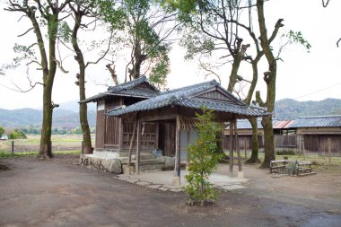 Uzun ağaçlarla çevrili geleneksel ahşap ev