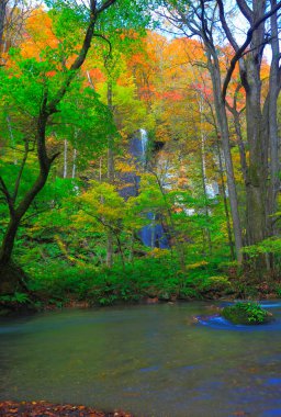Sonbahar ormanında güzel bir şelale