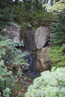 Küçük şelaleli ve yeşil ağaçlı güzel Japon bahçesi.