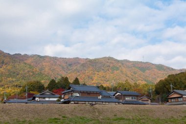 Sonbahar mevsiminde Japon kırsal arazisi 