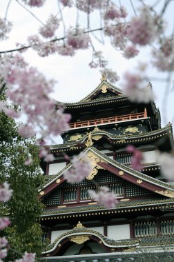 Japonya 'da kiraz çiçekli tapınak manzarası. Geleneksel Japon mimari kavramı