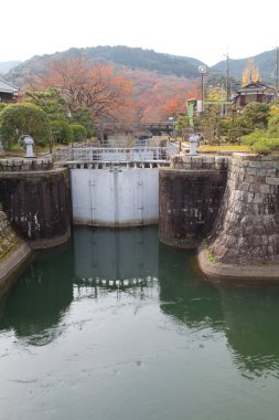 Ağaçlar ve bitkilerle çevrili güzel bir su görüntüsü. 