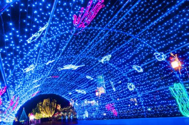 Yaratıcılığı ve toplumu kutlayan bir gece festivalinde karanlık bir tüneli aydınlatan renkli ışıkların canlı gösterisi