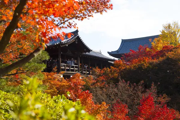 Beautiful Colorful Fall Season Nara — Stock Photo, Image