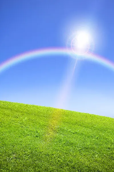 rainbow in the sky over green grass