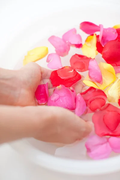 Frau Hält Ihre Hände Schale Mit Wasser Und Rosenblättern — Stockfoto